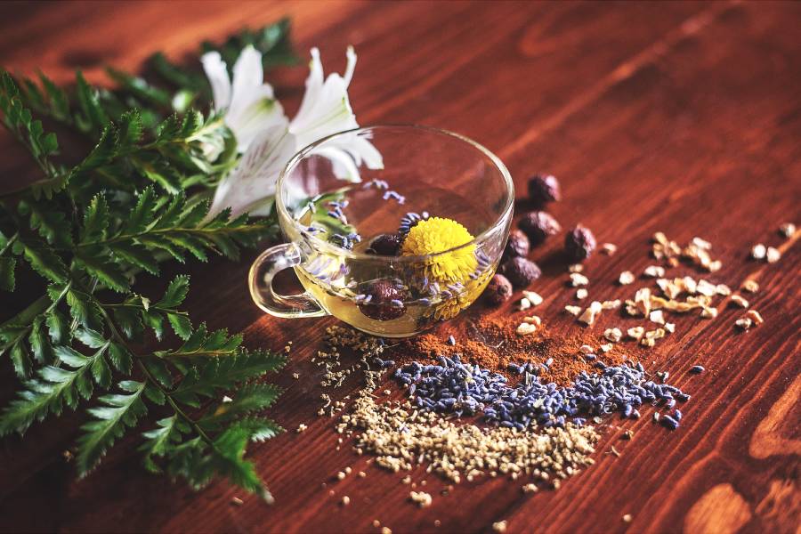 a cup of herbal tea with herbs and spices spread across a wooden table